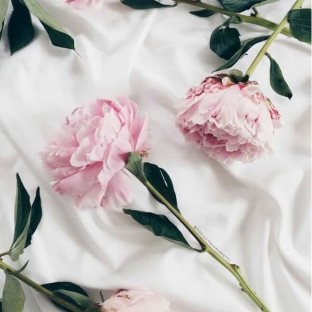 Meet your Posher, Priscilla